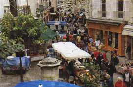 The Friday market in Carpentras
