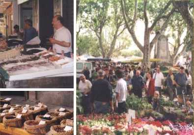 Carpentras market